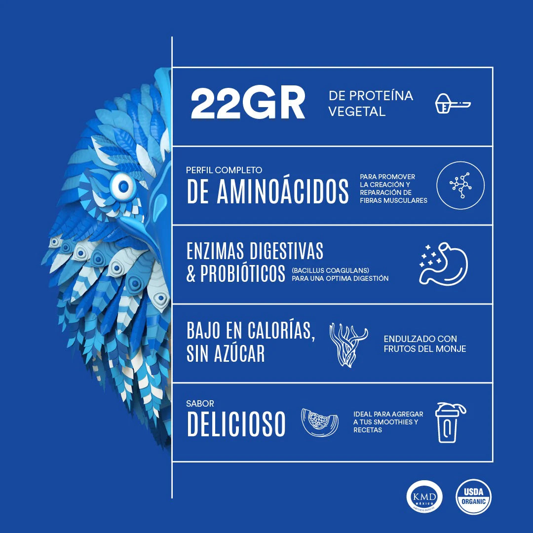 Falcon Proteína Chai